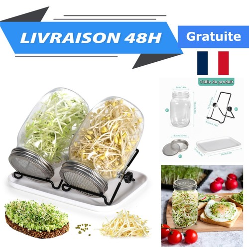 Cinnani germoir verre - cinnani,
