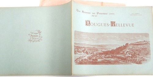 Pougues bellevue une annexe - bellevue,