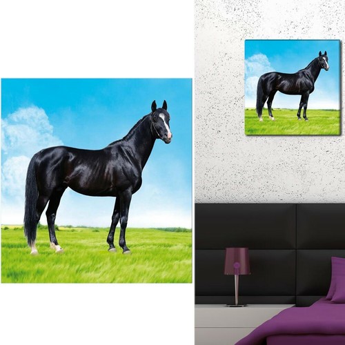 Cadre toile cheval - cadre,