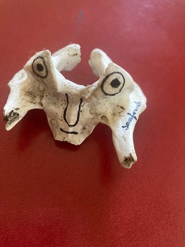 Art brut sanfouche dessin - art,