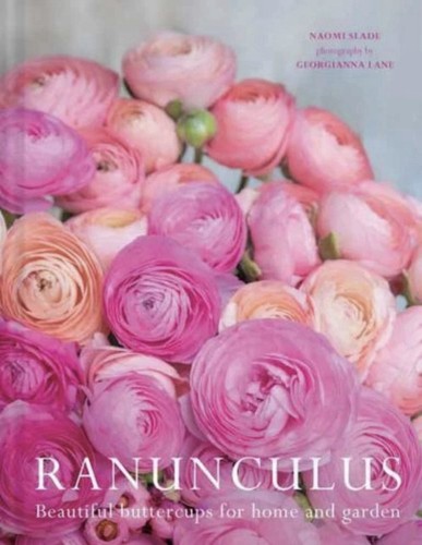 Ranunculus beautiful - ranunculus:,