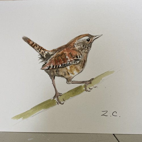 Aquarelle originale - z.c.,