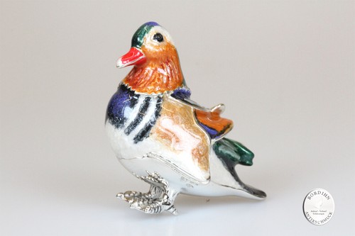 Mandarin canard grand animal - canard,
