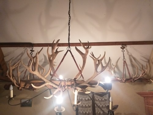 Grand lustre bois cerf - grand,