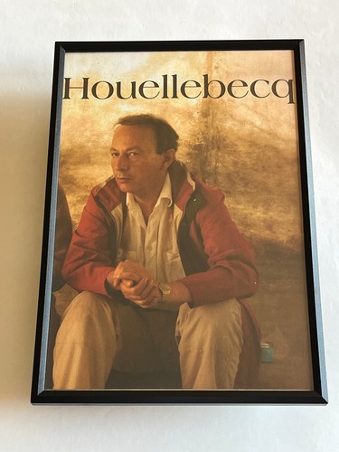 Michel houellebecq ancienne - michel,