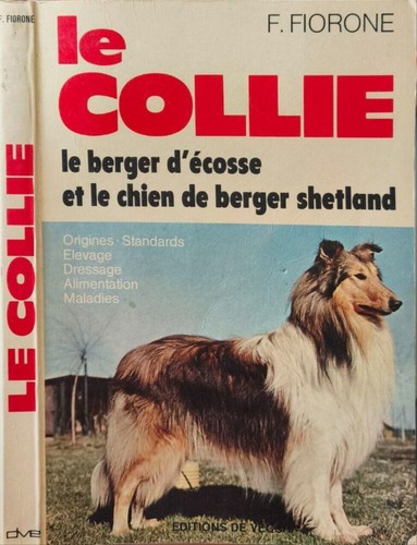Collie le berger - le,