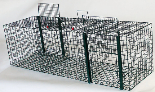 Piège élan - À,