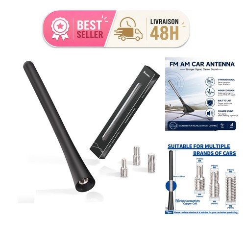 Antenne voiture bingfu courte - antenne,
