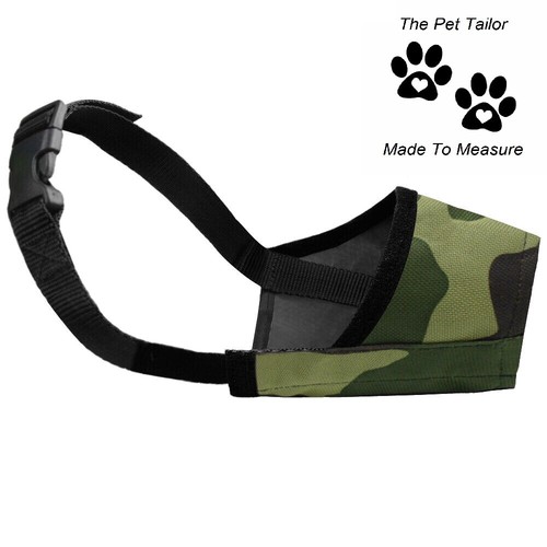 Beagle chien museau armée - museau,