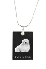Coton de Tulear, Chien En