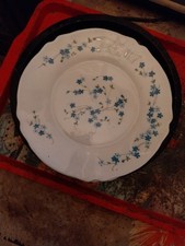 12 Assiettes Plates Arcopal