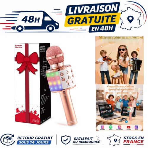 Micro karaoké sans fil - micro,