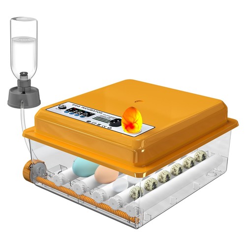 Couveuse chalixion pour - pour, 16