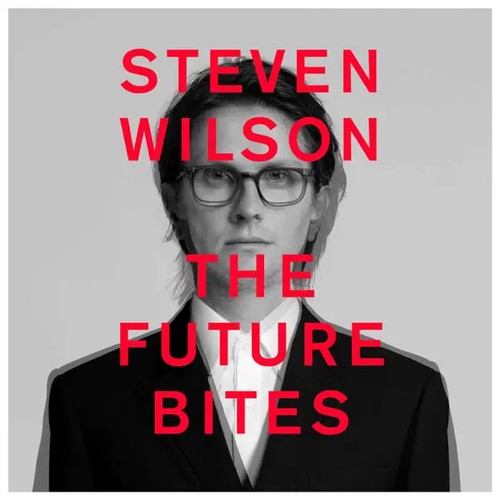 Steven wilson the future - the,