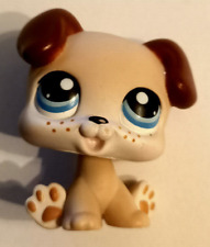 Litllest Petshop Puppy Boxer #143 Authentic Hasbro