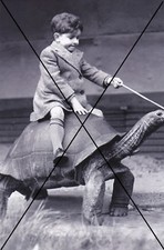  curiosité , oddities : photo