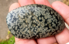 Large Variolite 61mm Natural Raw Volcanic Rock Minerals Fine Stone