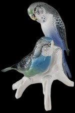 Couple D'oiseaux Perruches En