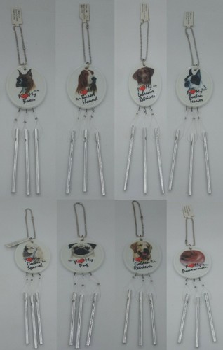 Jeu vent canin labrador - canin,