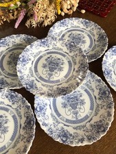 6 assiettes plates ARCOPAL