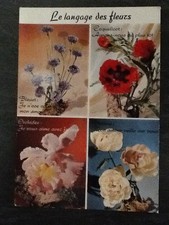 CP LANGUAGE OF FLOWERS ORCHID PEONY POPPY BLUEBERRY - 5842