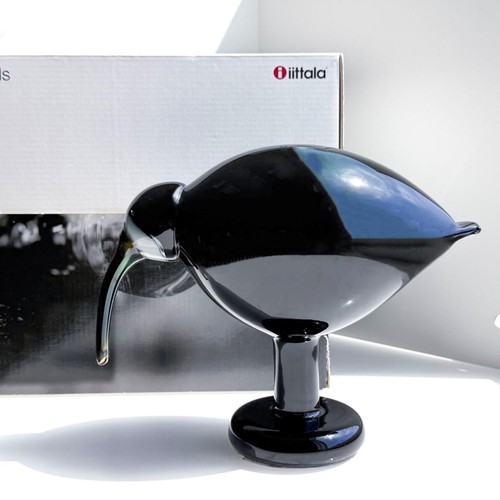 Oiseau noir ibis iittala par - oiseau,