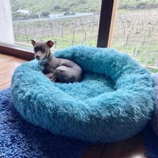 coussin pour chien; chats
