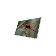 Ecran LCD Macbook pro 17" Alu