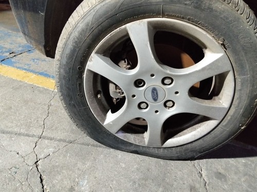 Pneu ford focus berlina - focus, (cak)