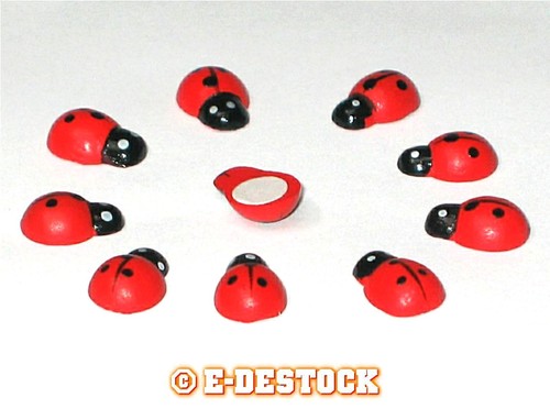 Petites coccinelles bois - 10,