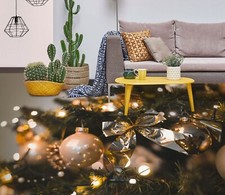 Feuille d'argent 3D 2029 sol