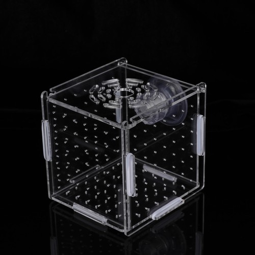 Aquariophilie accessoire - ,