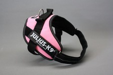 HARNAIS POUR CHIEN JULIUS K9