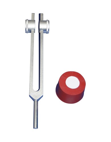 Diapason lesté radicalement - ,