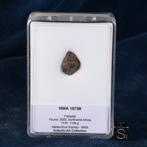 Météorite nwa 15738 - météorite, 1,95