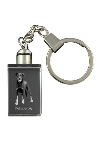 Berger beauce beauceron - berger, de