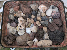 Lot of Stones and Shells - Collection of Precious Rocks Rare Pebbles