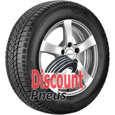 Sunny Wintermax NW211 195/55