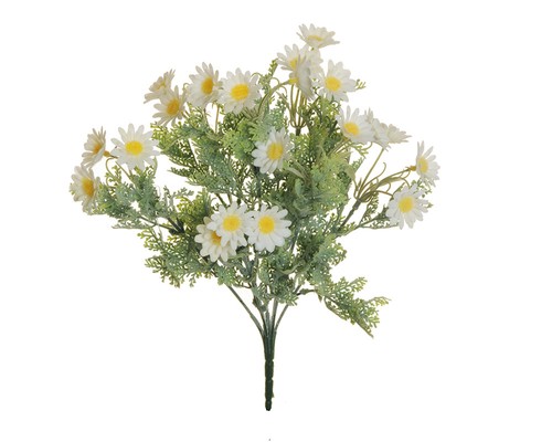 Bush branches marguerite - bush,