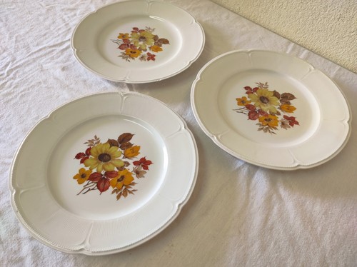 Anciennes assiettes plates - 3,