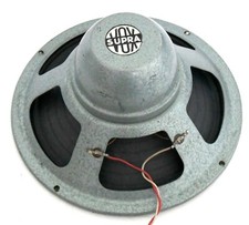 HAUT PARLEUR LARGE BANDE 24 CM