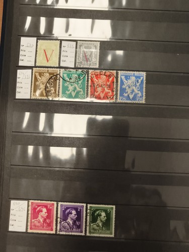 Timbres belgique lion roi - belgique,