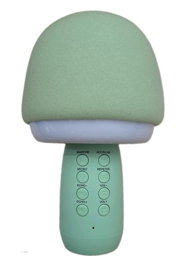 Micro karaoké veilleuse - micro,
