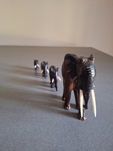 Famille éléphants en - de,