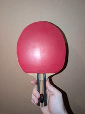 Nittaku acoustic table tennis racket