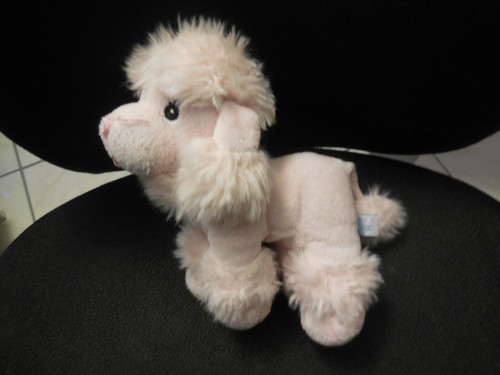 Doudou peluche chien - doudou, caniche