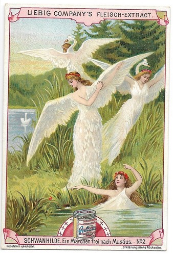 Conte fèe schwanhilde - fèe,