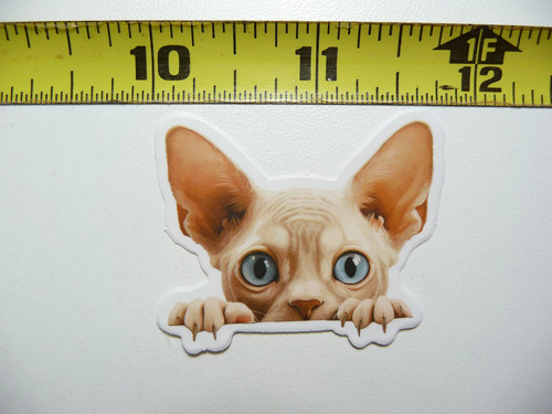 Peeking sphynx small - sphynx,