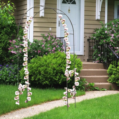 Liane grille roses arc jardin - liane,