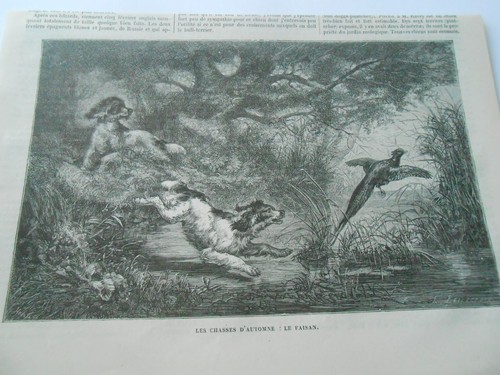 Gravure 1876 les - ,